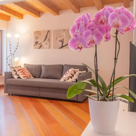 La Casa Di Aleida Apartment Pedemonte